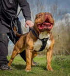 BESTIA DOG SPORT – postroj GripPro Heavy Duty
