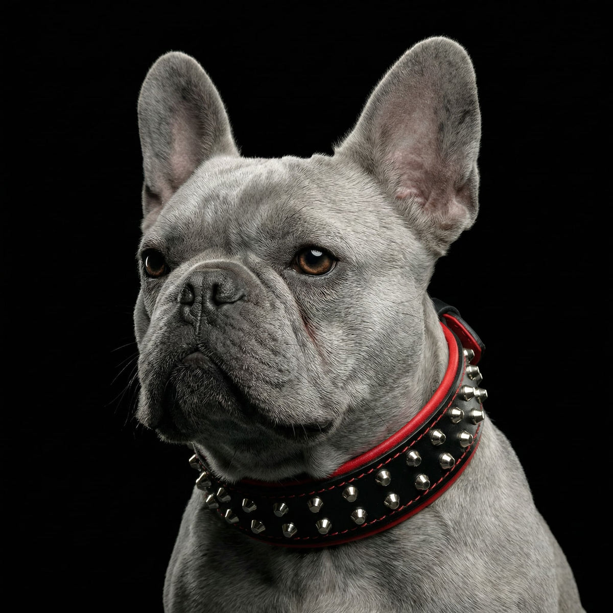 Obojek „Rocky“